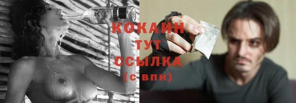 ALPHA PVP Каменка