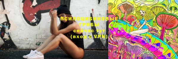 бошки Каменногорск