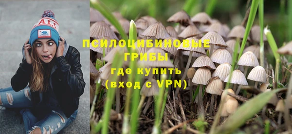 гашик Кинешма