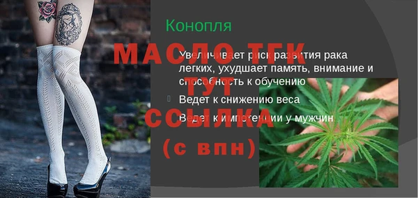 ALPHA PVP Каменка